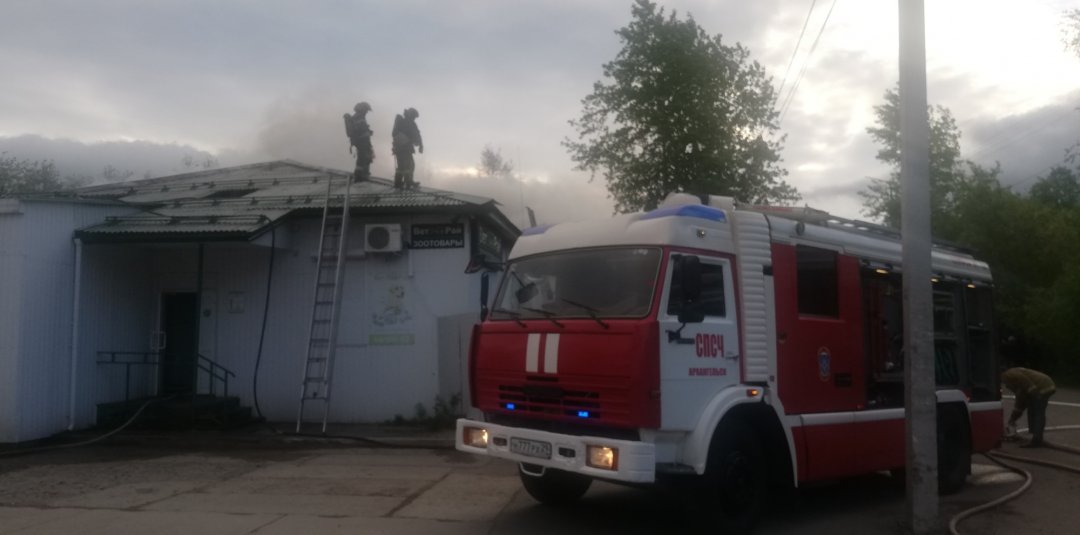 Пожарно-спасательные подразделения выезжали на пожар в Шенкурском МО Архангельской области.